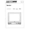 GOLDHAND TV66FB Service Manual