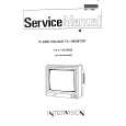 INTERVISION CTV260RM Service Manual