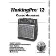 SWR WORKINGPRO12 Owners Manual